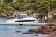 2026 Jeanneau Merry Fisher 895 S2