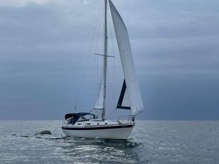 Westerly Konsort, many extras