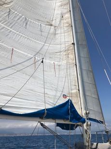 1980 Perry 41