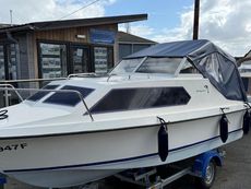 Dolphin 21