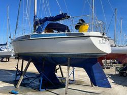1979 Maxi 95