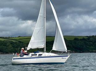 Jaguar 24