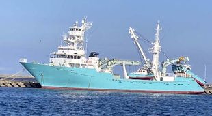 60mtr American Purse Seiner