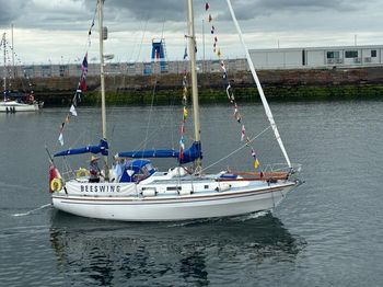 WESTERLY 33