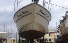 Hardy Seawings 305 for sale