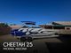 2012 Cheetah 25