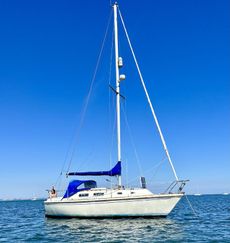 1981 Westerly Griffon Mk 1 for sale