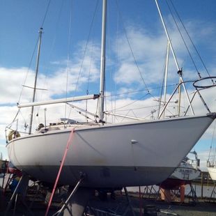 Hunter Impala - Ready to race or cruise