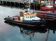 Tug - Twin Screw For Sale & Charter
