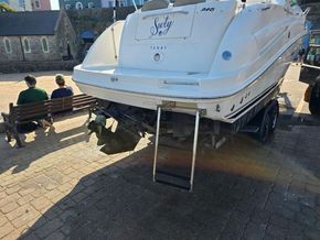 Sea Ray 245 Sundancer  - Stern