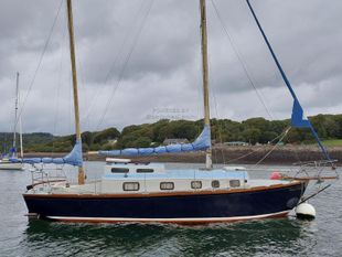 1973 WaterWitch 30