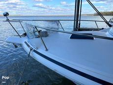 1992 Sea Ray 350 Express Bridge