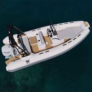NEW TIGER PROLINE 550