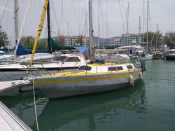 ALUBAT OVNI 31