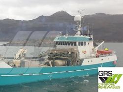 40m / Fish Carrier for Sale / #1057369