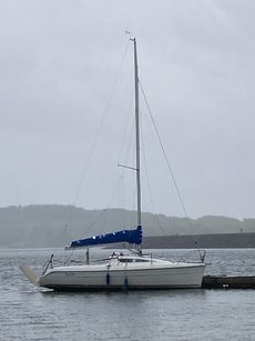 Trailer Sailer, Delphina/europa TS230