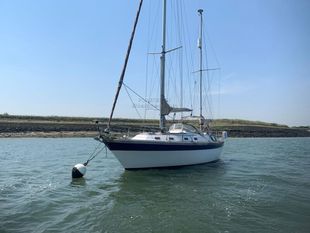 1991 Colvic Countess 33