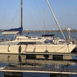 Prout Snowgoose 37