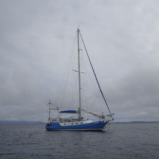 Roberts Spray 36
