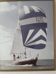 Trapper 500 cruiser racer yacht