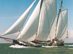 Stevenaak "Victoria S"