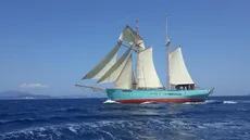 2016 West Country Top Sail Schooner