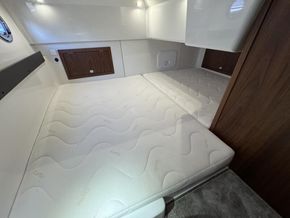 IMG 4952