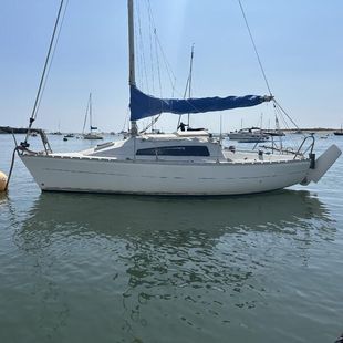 Parker 21