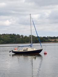 Corribee mk2
