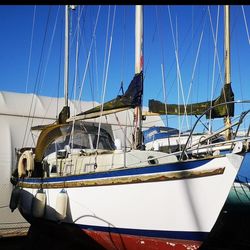 Seadog 30 in N. Ireland