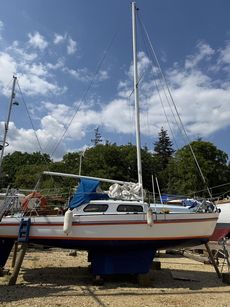 Kestrel 24