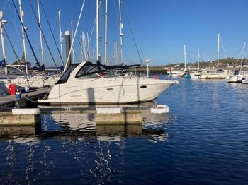 Chaparral 290 SIgnature