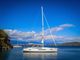 2022 Jeanneau Sun Odyssey 490