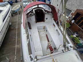 Rustler 31  - Deck
