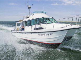 2017 11.2m Cheetah Marine Catamaran