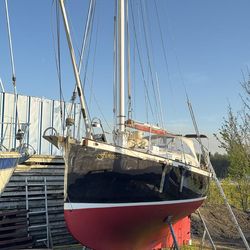 Tamarisk 29