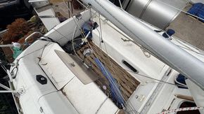 IMG 7240