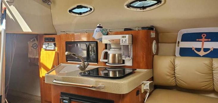 2007 Larson 260 cabrio