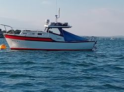 Tamar 2000 Enterprise