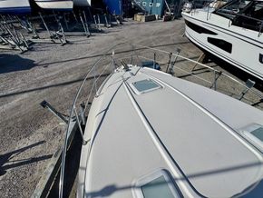 IMG 4665