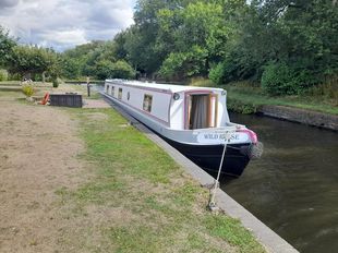57ft Liverpool Trad Wild Rose