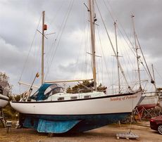 1973 Seadog 30