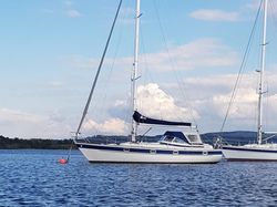 Hallberg Rassy 352 1981