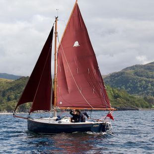 Cape Cutter 19 - Ready to sail
