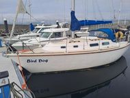 Westerly Griffon