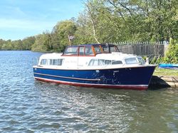 Broom Skipper 30