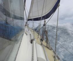 Comfortable live aboard circumnavigator