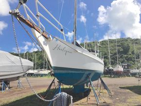 Currently on the hard, showing shallow wing keel