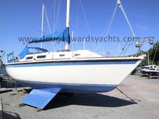 Westerly Griffon