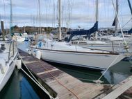 Carter 37 'Irish Mist'